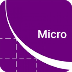 Interactive Microeconomics